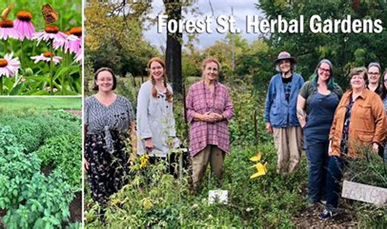 Grow Health: The Herbal Gardens Inc Wellness | The Ultimate Herbal Remedies Guide: Natural Healing for a Healthier Life