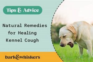 Natural Herbal Remedies for Kennel Cough Relief Fast! | The Ultimate Herbal Remedies Guide: Natural Healing for a Healthier Life