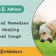Natural Herbal Remedies for Kennel Cough Relief Fast! | The Ultimate Herbal Remedies Guide: Natural Healing for a Healthier Life