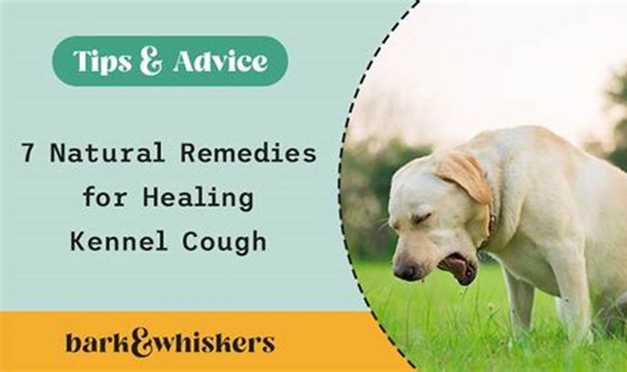Natural Herbal Remedies for Kennel Cough Relief Fast! | The Ultimate Herbal Remedies Guide: Natural Healing for a Healthier Life