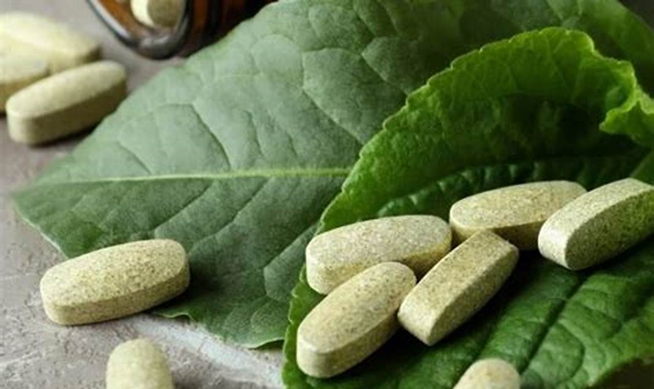 Buy The Herbal Tablet Online: Benefits & Uses | The Ultimate Herbal Remedies Guide: Natural Healing for a Healthier Life