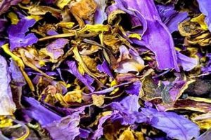 Guide to Herbal Whole Blue Lotus Flower Dried Herb + Uses | The Ultimate Herbal Remedies Guide: Natural Healing for a Healthier Life