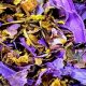 Guide to Herbal Whole Blue Lotus Flower Dried Herb + Uses | The Ultimate Herbal Remedies Guide: Natural Healing for a Healthier Life