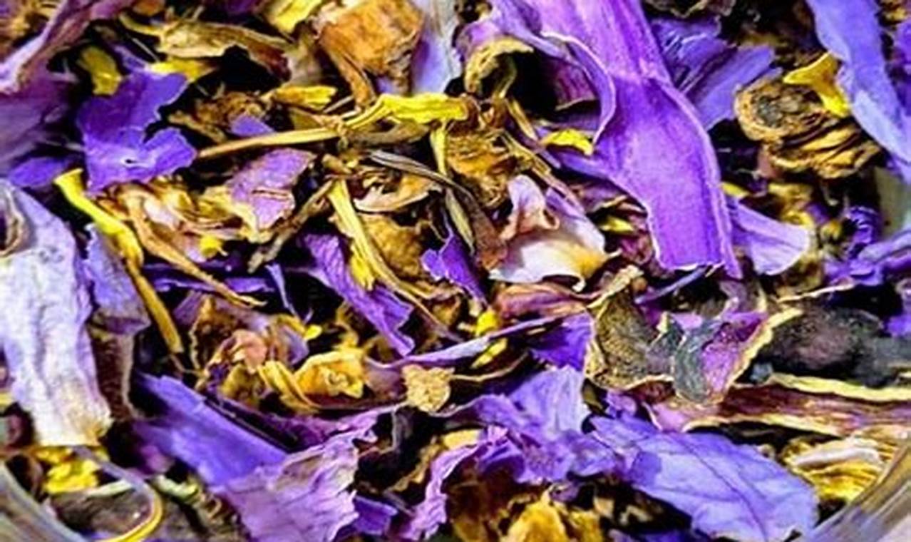 Guide to Herbal Whole Blue Lotus Flower Dried Herb + Uses | The Ultimate Herbal Remedies Guide: Natural Healing for a Healthier Life