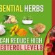Natural Herbals: Herbal Cure for High Cholesterol Guide | The Ultimate Herbal Remedies Guide: Natural Healing for a Healthier Life