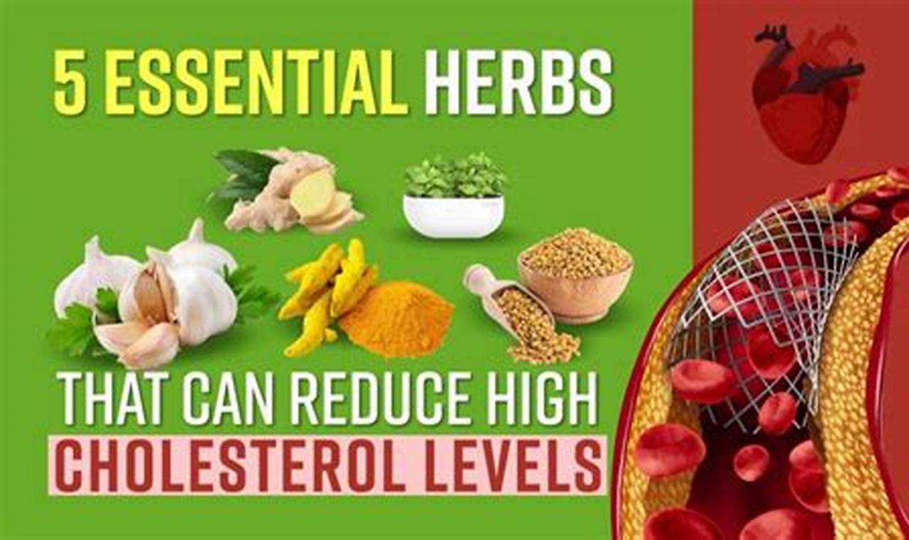 Natural Herbals: Herbal Cure for High Cholesterol Guide | The Ultimate Herbal Remedies Guide: Natural Healing for a Healthier Life