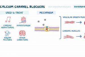 Natural Herbal Calcium Channel Blockers: Benefits & Risks | The Ultimate Herbal Remedies Guide: Natural Healing for a Healthier Life