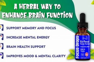 Boost Focus: Herbal Supplements for Concentration Today! | The Ultimate Herbal Remedies Guide: Natural Healing for a Healthier Life