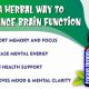 Boost Focus: Herbal Supplements for Concentration Today! | The Ultimate Herbal Remedies Guide: Natural Healing for a Healthier Life
