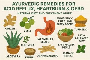 Natural GERD Herbal Remedies: Soothe Acid Reflux | The Ultimate Herbal Remedies Guide: Natural Healing for a Healthier Life