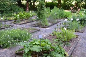 Grow Your Own: Herbal Garden Secrets & Tips | The Ultimate Herbal Remedies Guide: Natural Healing for a Healthier Life