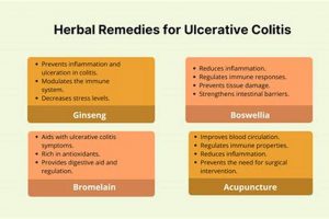 Natural Herbal Remedies for Ulcerative Colitis: Relief Tips | The Ultimate Herbal Remedies Guide: Natural Healing for a Healthier Life