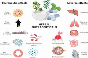 Natural Herbals: Herbal Drugs for Diabetes Control Tips | The Ultimate Herbal Remedies Guide: Natural Healing for a Healthier Life