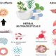 Natural Herbals: Herbal Drugs for Diabetes Control Tips | The Ultimate Herbal Remedies Guide: Natural Healing for a Healthier Life