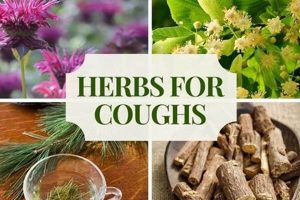 Natural Throat Infection Herbal Remedies: Soothe Fast! | The Ultimate Herbal Remedies Guide: Natural Healing for a Healthier Life