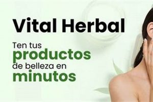 Boost Your Health: Vital Herbal Power Guide | The Ultimate Herbal Remedies Guide: Natural Healing for a Healthier Life