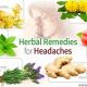 Natural Herbal Remedies for Headaches: Relief Options | The Ultimate Herbal Remedies Guide: Natural Healing for a Healthier Life