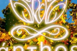 Anthos Acupuncture & Herbal Clinic: Your Wellness Journey | The Ultimate Herbal Remedies Guide: Natural Healing for a Healthier Life