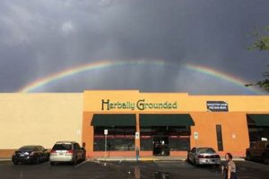 Las Vegas Herbals: Herbally Grounded NV Guide | The Ultimate Herbal Remedies Guide: Natural Healing for a Healthier Life