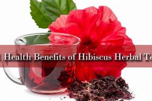 Benefits of Hibiscus Herbal Tea: A Zesty Brew Guide | The Ultimate Herbal Remedies Guide: Natural Healing for a Healthier Life