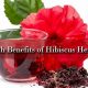 Benefits of Hibiscus Herbal Tea: A Zesty Brew Guide | The Ultimate Herbal Remedies Guide: Natural Healing for a Healthier Life