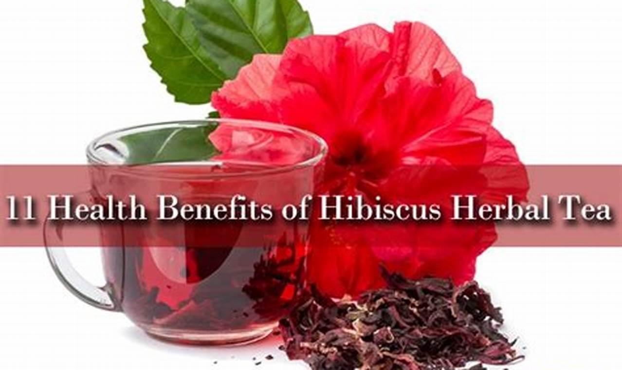 Benefits of Hibiscus Herbal Tea: A Zesty Brew Guide | The Ultimate Herbal Remedies Guide: Natural Healing for a Healthier Life