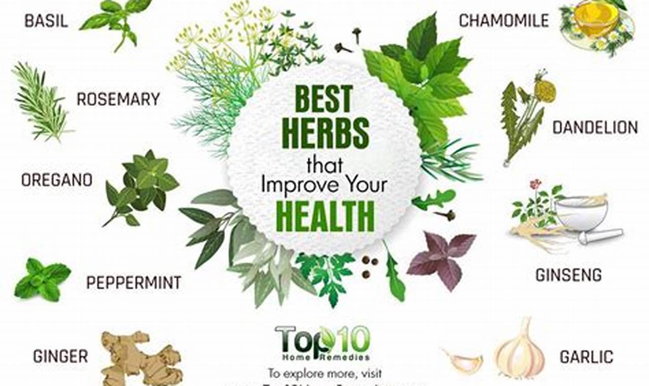Top Herbs: Best Herbal Supplements to Take Daily, Naturally | The Ultimate Herbal Remedies Guide: Natural Healing for a Healthier Life