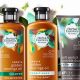Best Herbal Essences Styling Products: Your Style, Naturally! | The Ultimate Herbal Remedies Guide: Natural Healing for a Healthier Life