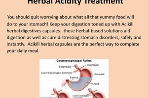 Natural Herbal Treatment for Acidity Relief Fast | The Ultimate Herbal Remedies Guide: Natural Healing for a Healthier Life