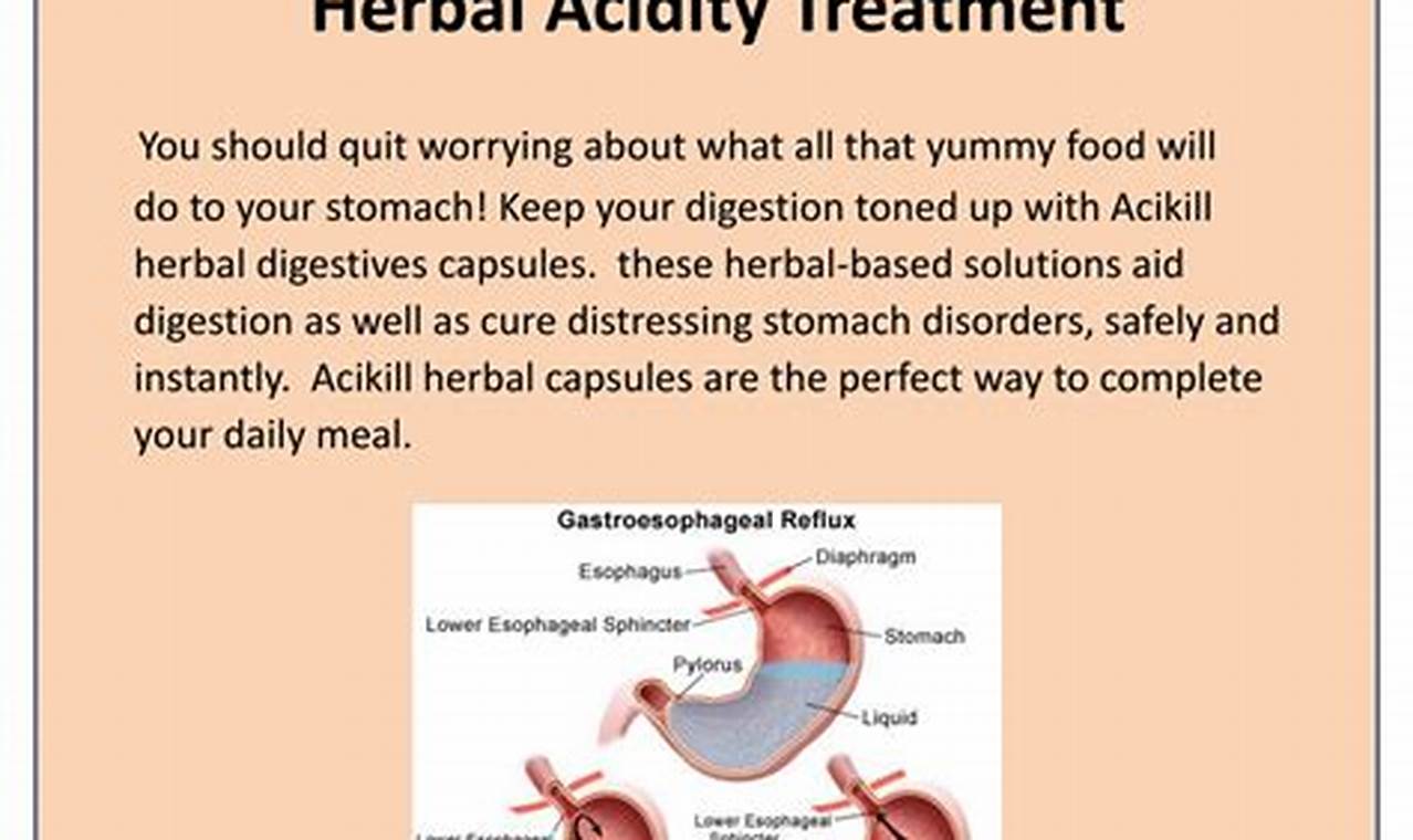 Natural Herbal Treatment for Acidity Relief Fast | The Ultimate Herbal Remedies Guide: Natural Healing for a Healthier Life
