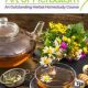 Unlocking the Science & Art of Herbalism: A Holistic Guide | The Ultimate Herbal Remedies Guide: Natural Healing for a Healthier Life