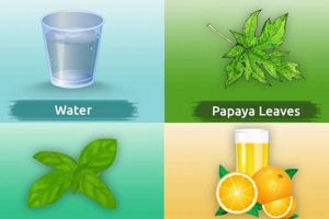 Natural Dengue Herbal Treatment: Relief &amp; Remedies | The Ultimate Herbal Remedies Guide: Natural Healing for a Healthier Life