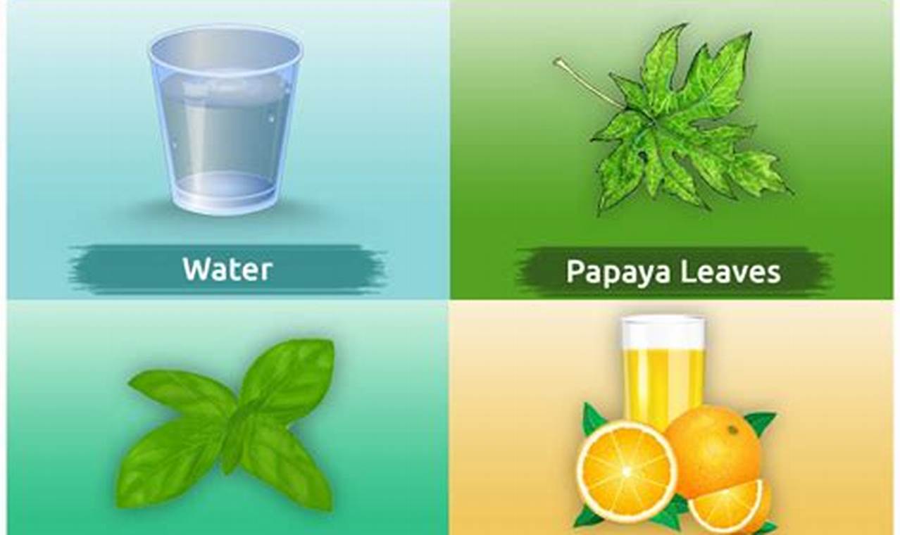 Natural Dengue Herbal Treatment: Relief &amp; Remedies | The Ultimate Herbal Remedies Guide: Natural Healing for a Healthier Life
