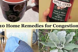 Natural Herbal Remedies for Sinus Congestion Relief Now | The Ultimate Herbal Remedies Guide: Natural Healing for a Healthier Life
