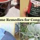 Natural Herbal Remedies for Sinus Congestion Relief Now | The Ultimate Herbal Remedies Guide: Natural Healing for a Healthier Life