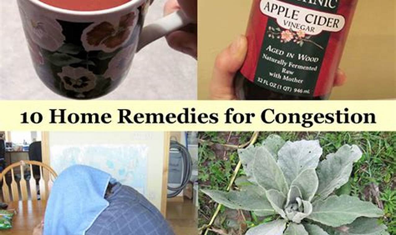 Natural Herbal Remedies for Sinus Congestion Relief Now | The Ultimate Herbal Remedies Guide: Natural Healing for a Healthier Life