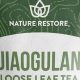 Discover Jiaogulan Herbal Tea Benefits + Brew Guide | The Ultimate Herbal Remedies Guide: Natural Healing for a Healthier Life