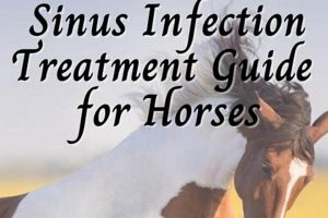 Natural Herbal Sinus Treatment: Relief & Remedies | The Ultimate Herbal Remedies Guide: Natural Healing for a Healthier Life