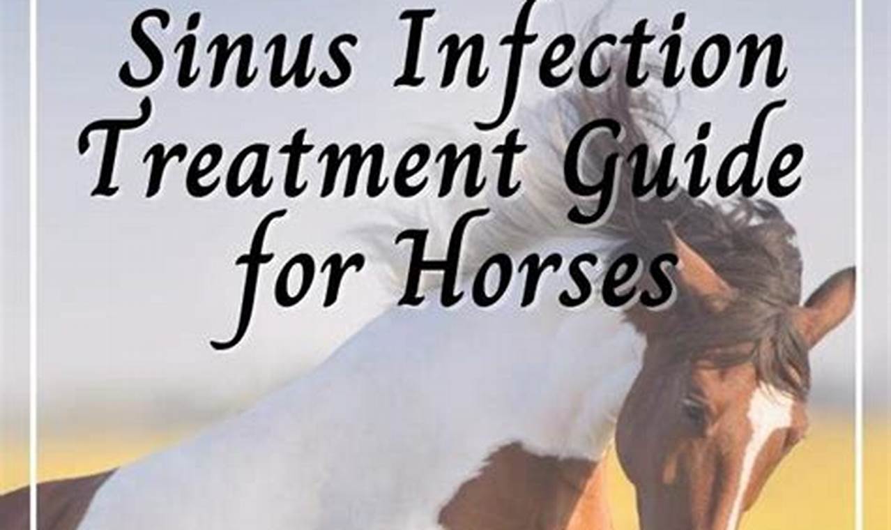 Natural Herbal Sinus Treatment: Relief & Remedies | The Ultimate Herbal Remedies Guide: Natural Healing for a Healthier Life