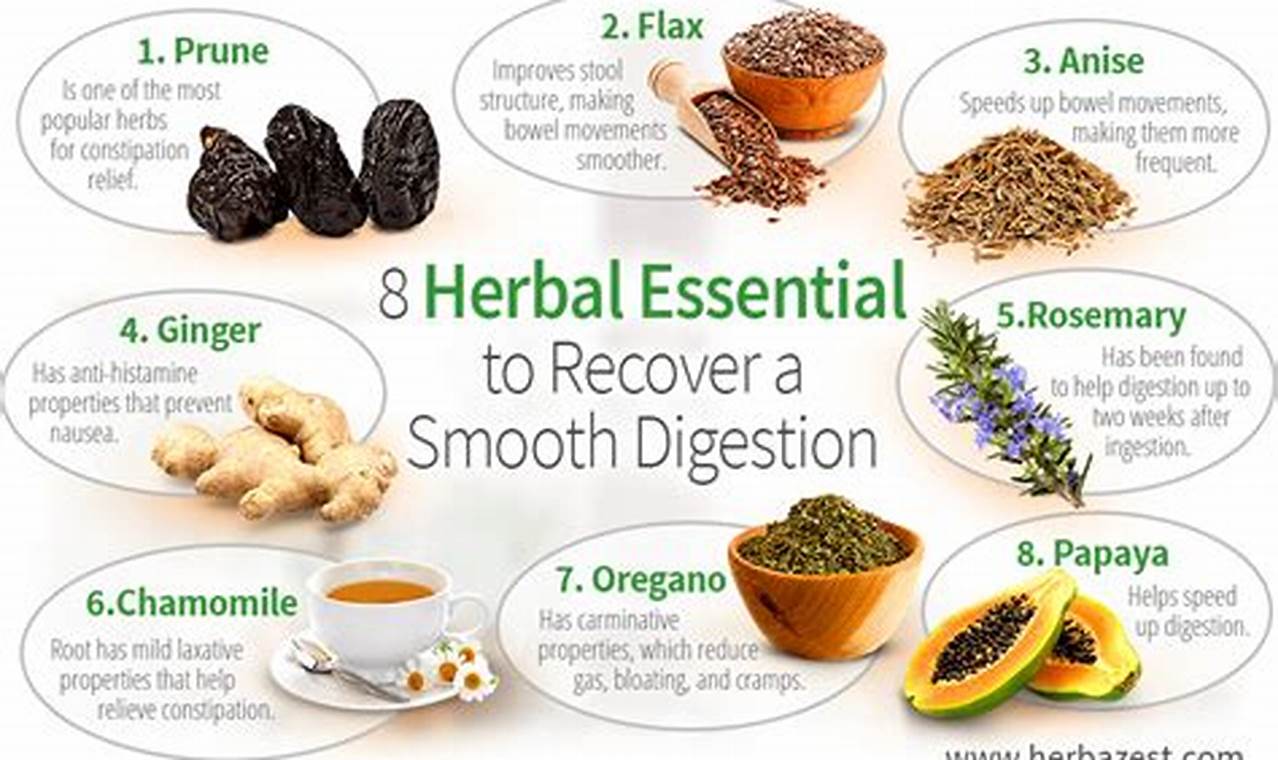 Natural Herbal Remedies for Gut Health Today | The Ultimate Herbal Remedies Guide: Natural Healing for a Healthier Life