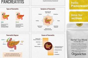 Natural Herbal Remedies for Pancreas Health + Tips | The Ultimate Herbal Remedies Guide: Natural Healing for a Healthier Life
