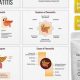 Natural Herbal Remedies for Pancreas Health + Tips | The Ultimate Herbal Remedies Guide: Natural Healing for a Healthier Life
