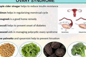 Natural Herbal Treatment for Polycystic Ovaries: Herbs That Help | The Ultimate Herbal Remedies Guide: Natural Healing for a Healthier Life
