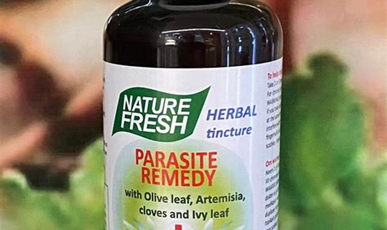 Natural Herbal Parasite Remedy: Safe Cleanse Tips The Ultimate Herbal Remedies Guide: Natural Healing for a Healthier Life Natural Herbal Parasite Remedy: Safe Cleanse Tips | The Ultimate Herbal Remedies Guide: Natural Healing for a Healthier Life