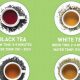 Brew Better Tea: What Temperature Water for Herbal Tea Guide | The Ultimate Herbal Remedies Guide: Natural Healing for a Healthier Life