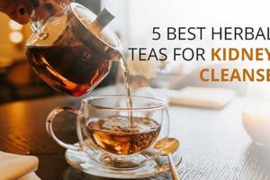 Kidney-Loving Herbal Teas: Boost Your Renal Health Naturally The Ultimate Herbal Remedies Guide: Natural Healing for a Healthier Life Kidney-Loving Herbal Teas: Boost Your Renal Health Naturally | The Ultimate Herbal Remedies Guide: Natural Healing for a Healthier Life