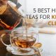 Kidney-Loving Herbal Teas: Boost Your Renal Health Naturally | The Ultimate Herbal Remedies Guide: Natural Healing for a Healthier Life