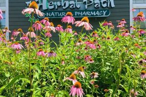 Your Natural Herbal Path in Dover: Local Remedies | The Ultimate Herbal Remedies Guide: Natural Healing for a Healthier Life