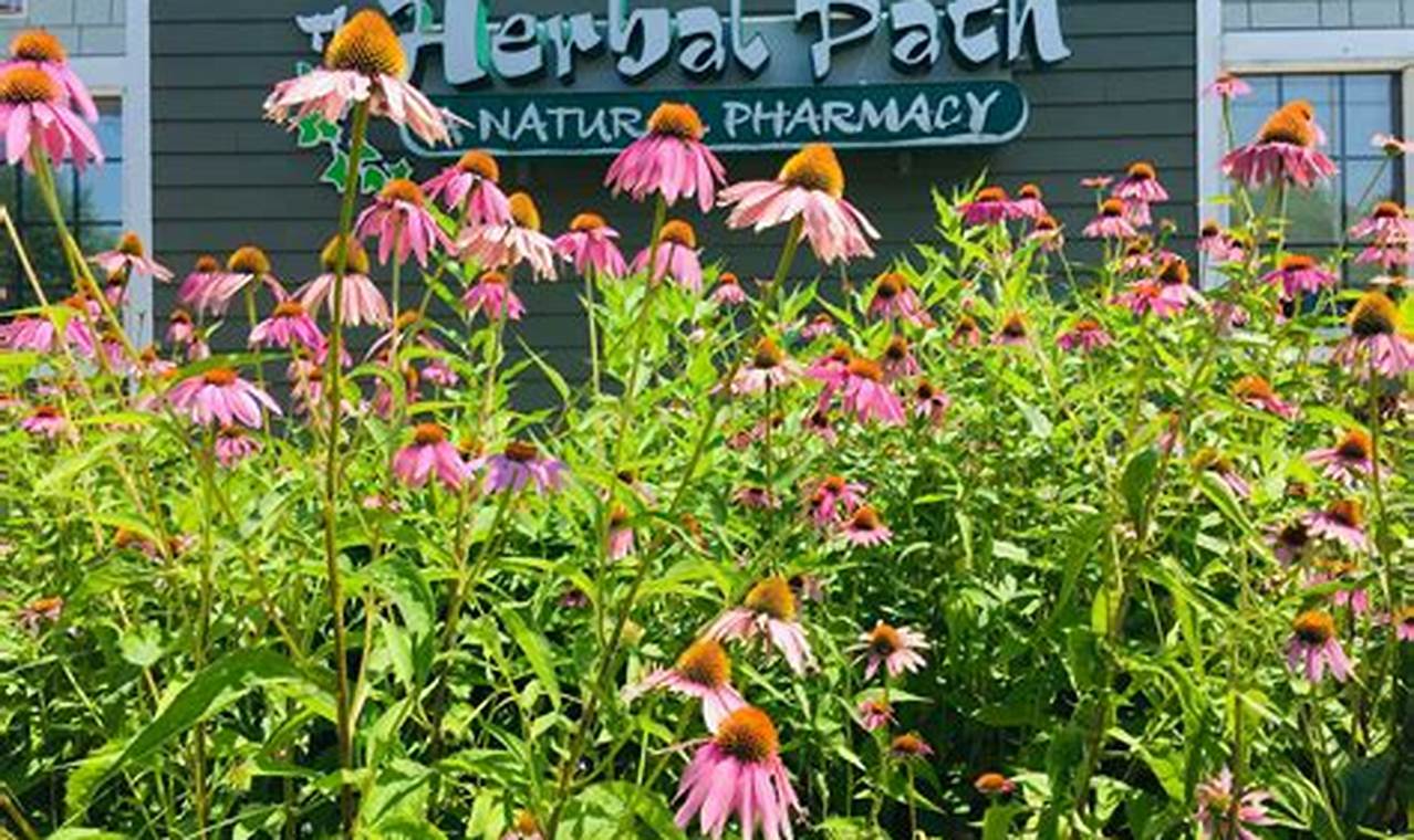 Your Natural Herbal Path in Dover: Local Remedies The Ultimate Herbal Remedies Guide: Natural Healing for a Healthier Life Your Natural Herbal Path in Dover: Local Remedies | The Ultimate Herbal Remedies Guide: Natural Healing for a Healthier Life