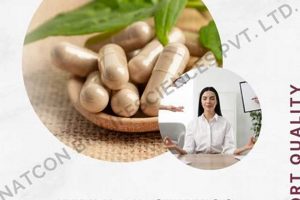 Natural Herbal Stress Relief: Find Your Calm Today! | The Ultimate Herbal Remedies Guide: Natural Healing for a Healthier Life